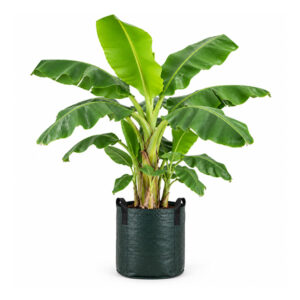 75 Litre Woven Banana Grow Bag