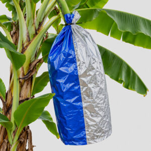 Banana Fruit Protection & Ripening Bags