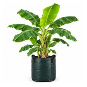100 Litre Woven Banana Grow Bag