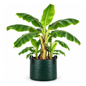 200 Litre Woven Banana Grow Bag