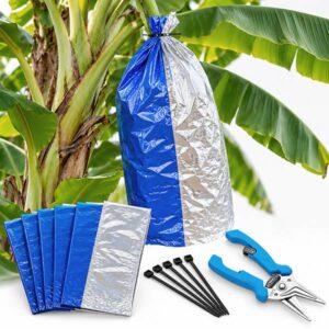 Banana Fruiting Combo Kit
